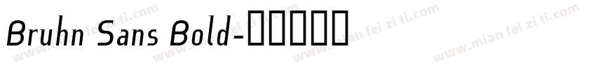 Bruhn Sans Bold字体转换